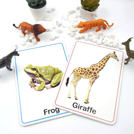 Meraki Babies Large Size Animals & Birds Flash Cards - 32 Cards