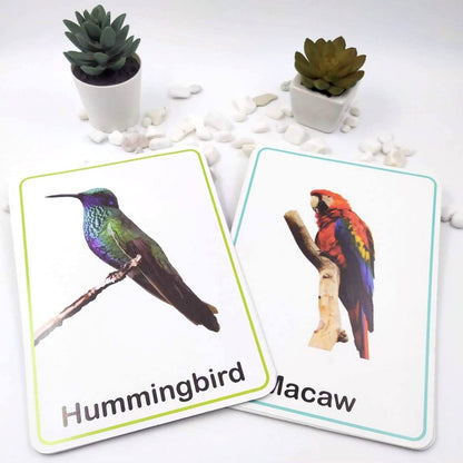 Meraki Babies Large Size All in One Alpabet, Numbers, Shapes & Colours, Vegetables & Birds and Animals & Birds Flashcards
